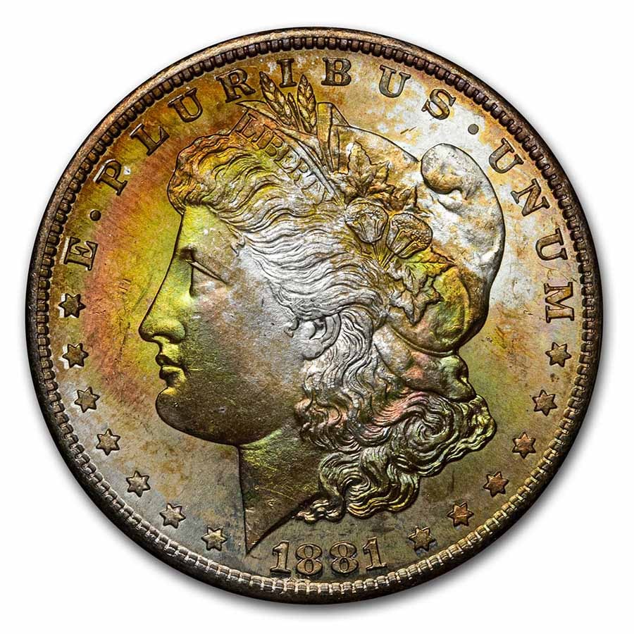 1878-1904 Morgan Dollars BU Beautifully Toned (Random Year)